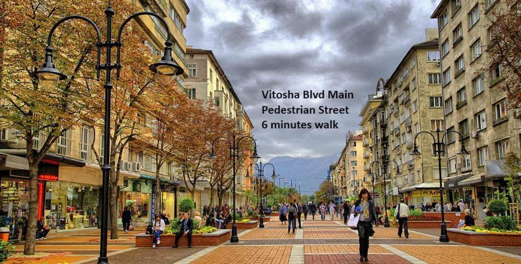 A Luxurious 2 Bedroom In Center Apartment Sofia